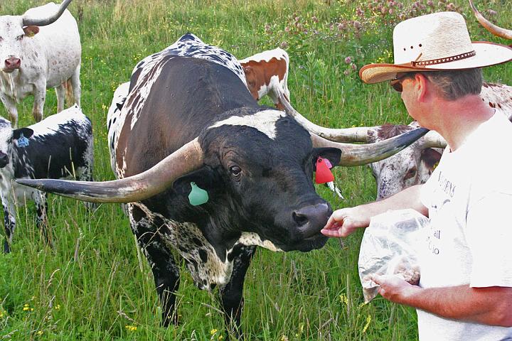 Brad feeding Over Kill
